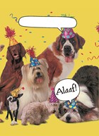 honden feest feesthoed
